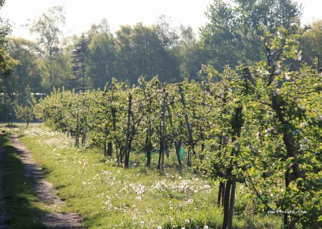 Kildevejens Frugt / Natur camp Kildevej — foto 2
