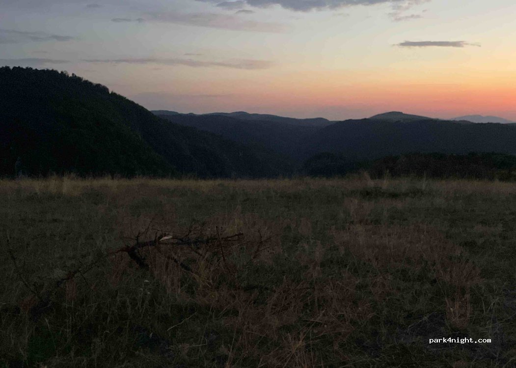 (327065) Carașova - — foto 5