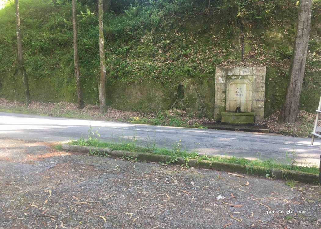 (4850) Vieira do Minho - N205 — foto