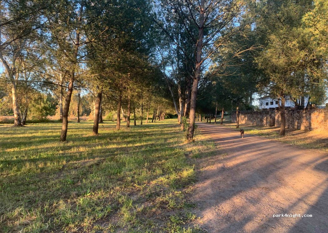 (06412) Hernán Cortes - Unnamed Road — foto 4