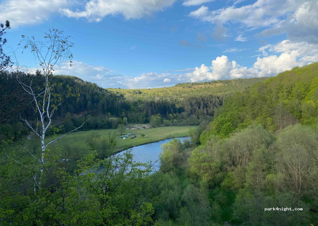 (417565) Șuncuiuș - — foto