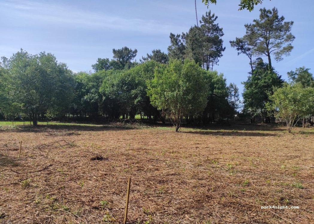 Woodstill Oaks — foto 2