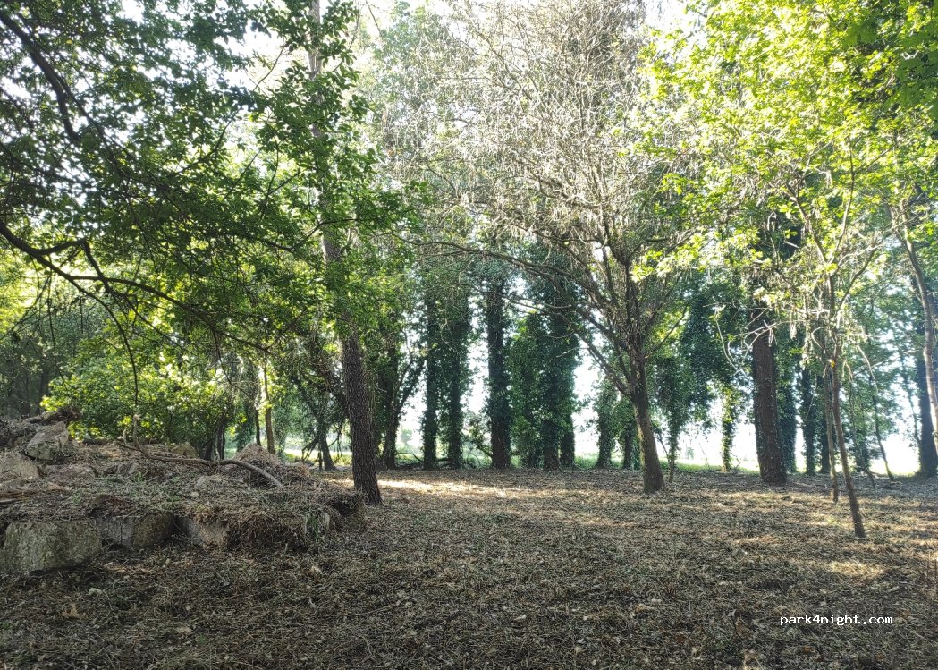 Woodstill Oaks — foto 3