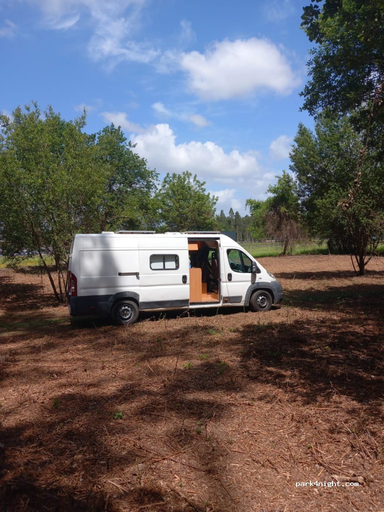Woodstill Oaks — foto 4