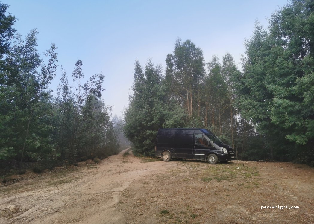 (3440) Pinheiro de Ázere - Estr. Sra. da Ribeira — foto