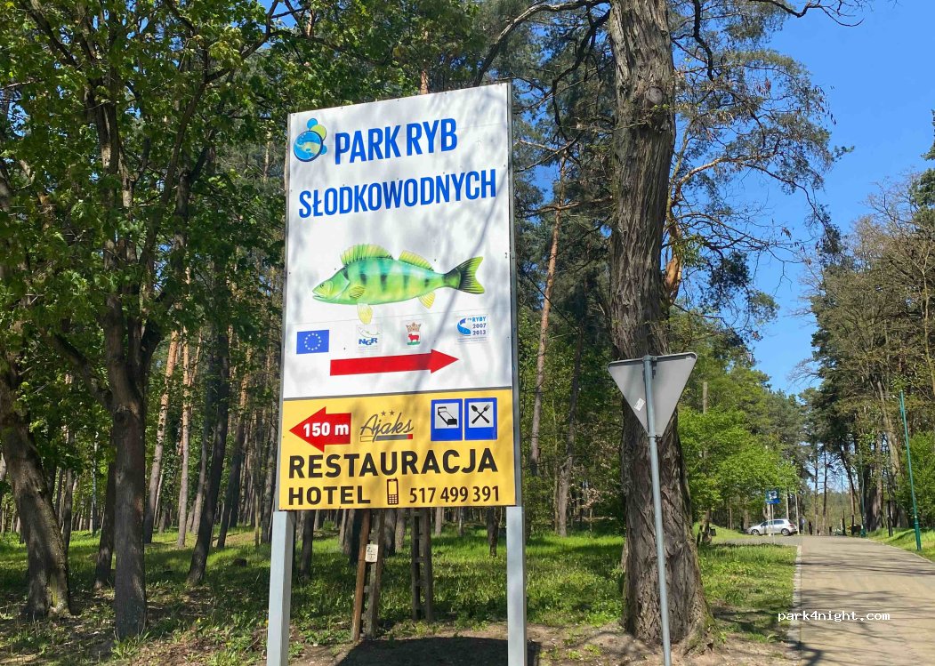 (64-980) Trzcianka - 58 Księdza Skargi — foto
