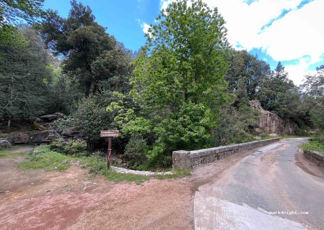 (20214) Calenzana - Forêt de Bonifato — foto