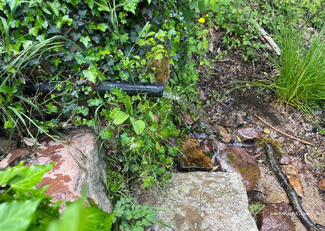 (20214) Calenzana - Forêt de Bonifato — foto 3