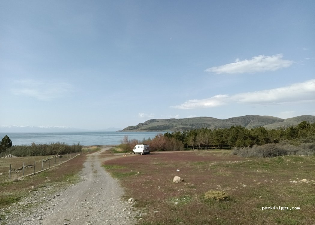 (1308) Artanish - — foto