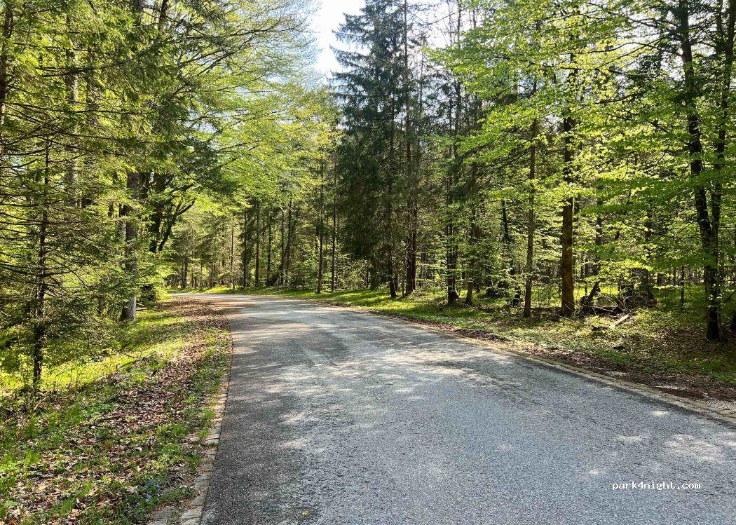 (83458) Schneizlreuth - Unnamed Road — foto 2