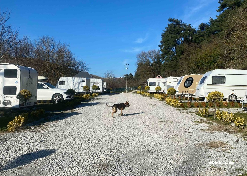 Bursa Karavan Park — foto 5
