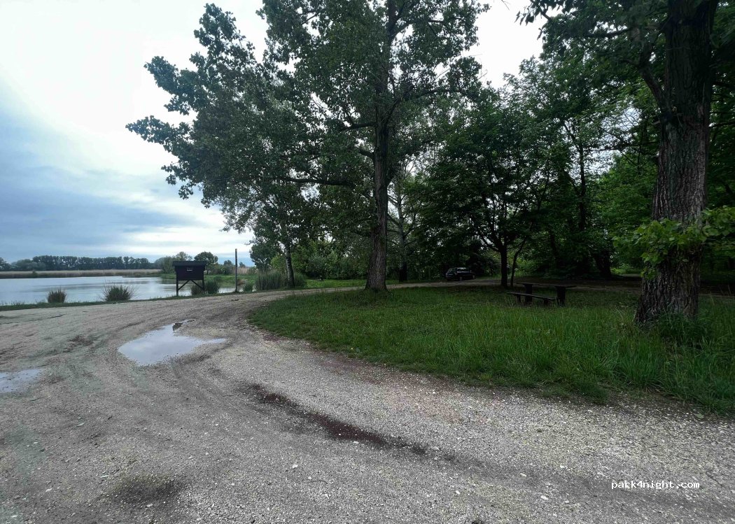 (6400) Kiskunhalas - Unnamed Road — foto