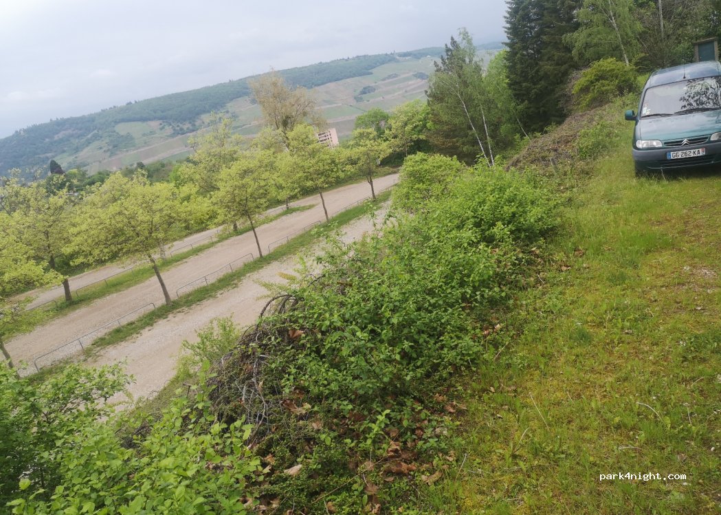(55411) Bingen am Rhein - 42 Im Bangert — foto 2