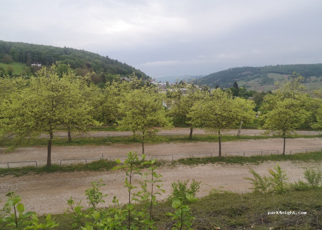 (55411) Bingen am Rhein - 42 Im Bangert — foto 3