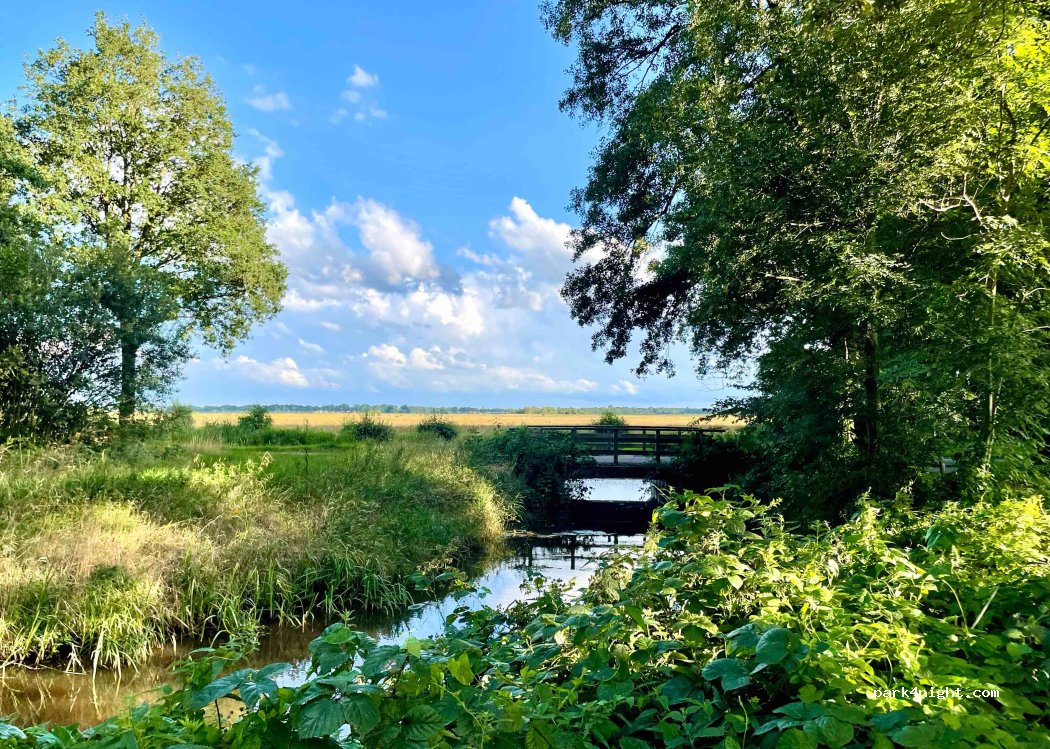 (9591) Onstwedde - — foto 4