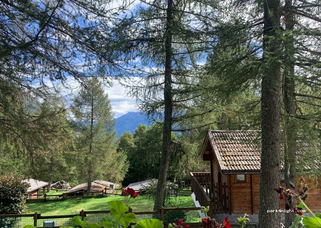 Camping Yolki Palki — foto 2