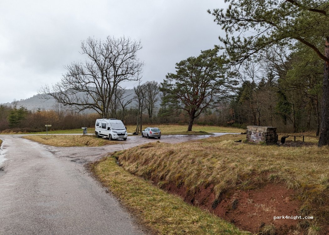 (88100) Saint-Dié-des-Vosges - 13 Chemin de la Goutte du Rupt — foto 2