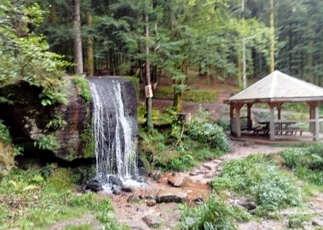 (88100) Saint-Dié-des-Vosges - 13 Chemin de la Goutte du Rupt — foto 5