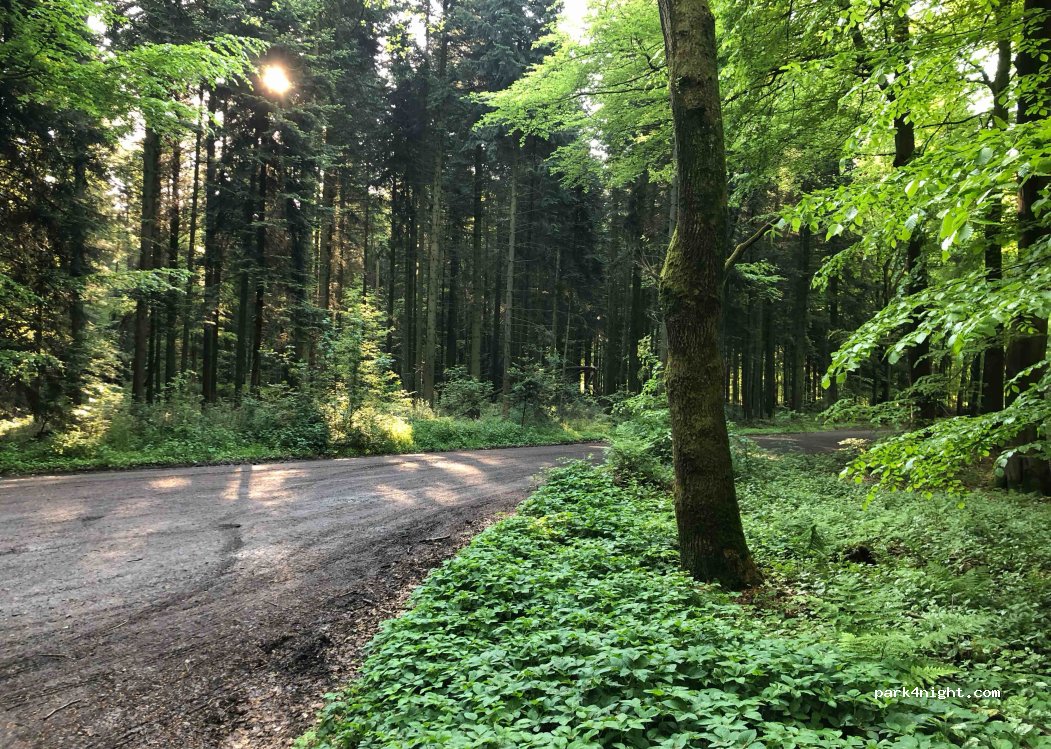 (28857) Syke - Unnamed Road — foto