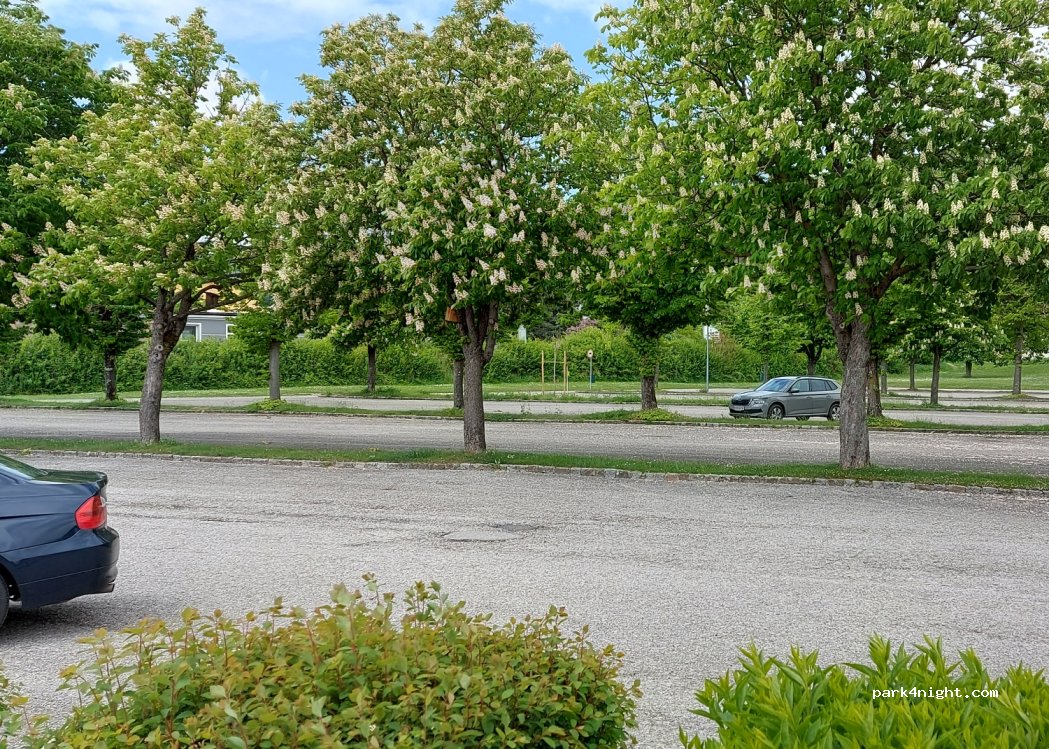 (3150) Wilhelmsburg - 4 Stadtpark — foto
