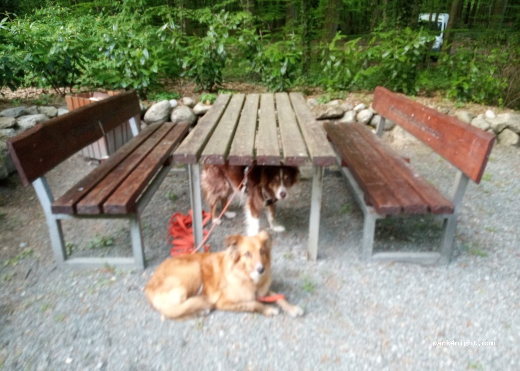 (21789) Wingst - Ellerbruch — foto 2