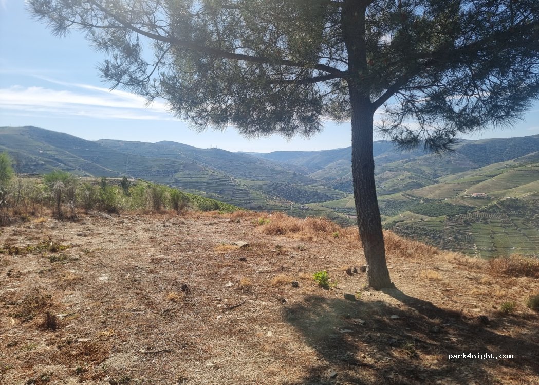 (5130) São João da Pesqueira - Unnamed Road — foto