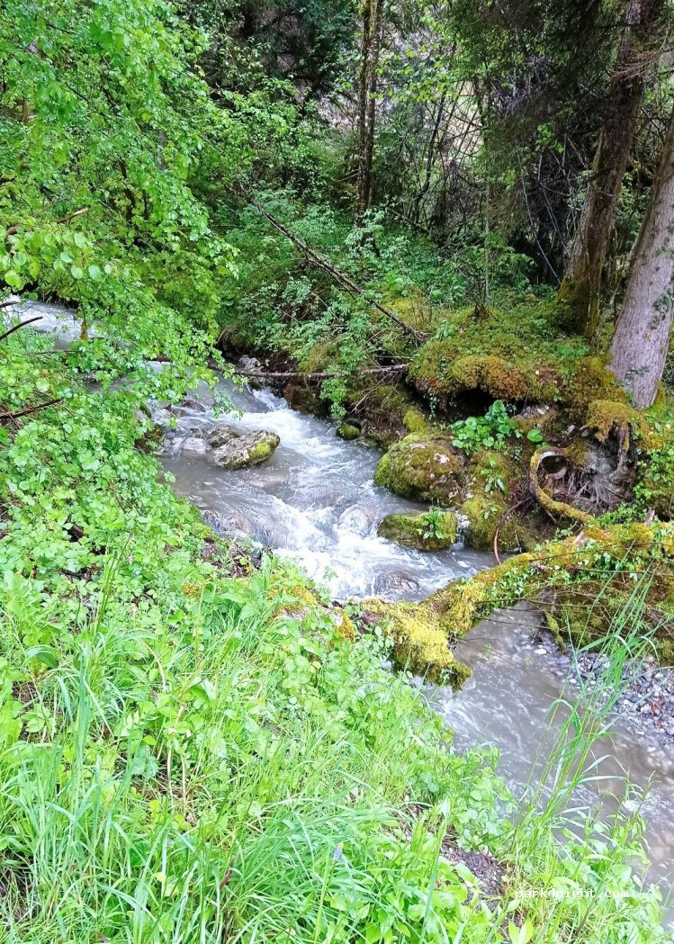 (74290) Talloires-Montmin - 1 Route de Rovagny — foto 3
