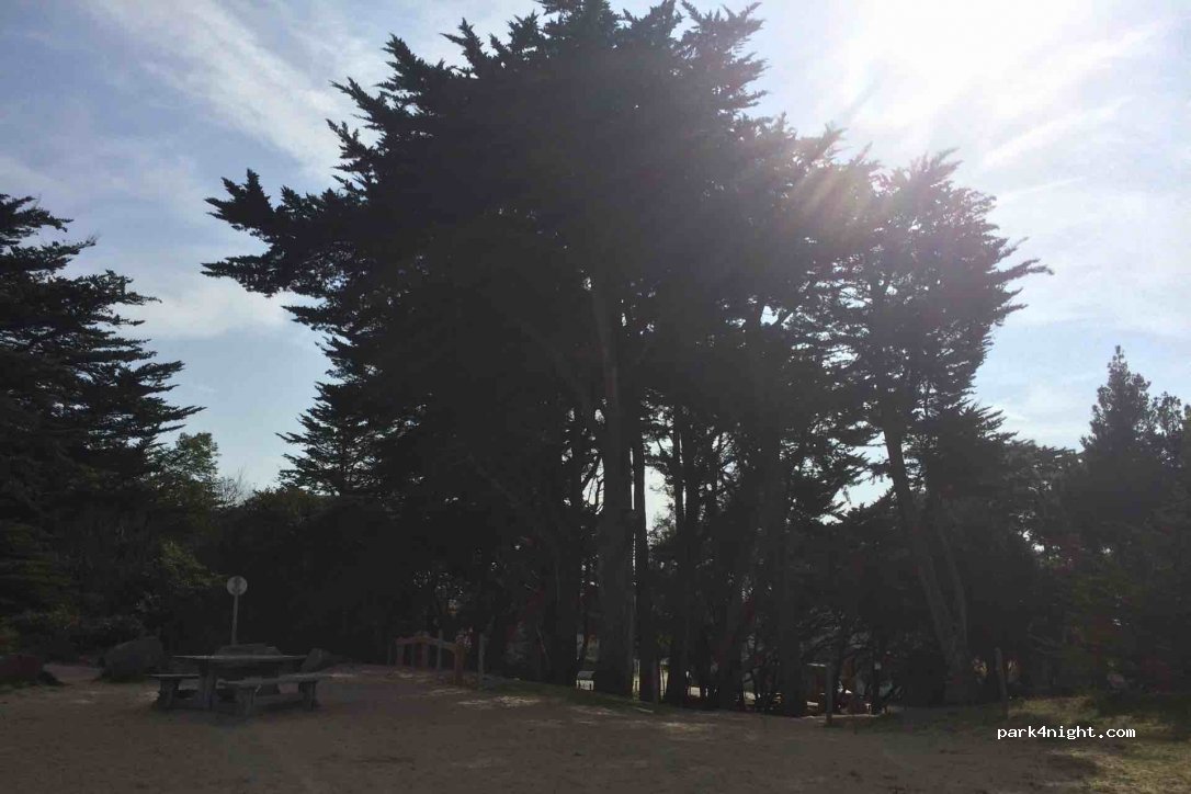 (85330) Noirmoutier-en-l'Île - 60 Allée Pierre l'Ermite — foto 2