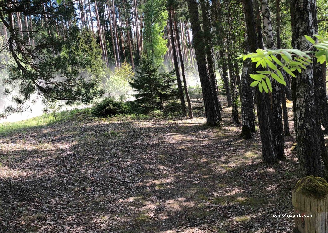 (33218) Kertuoja - 2816 — foto 2