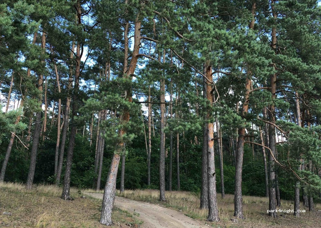(62-085) Skoki - Unnamed Road — foto 2
