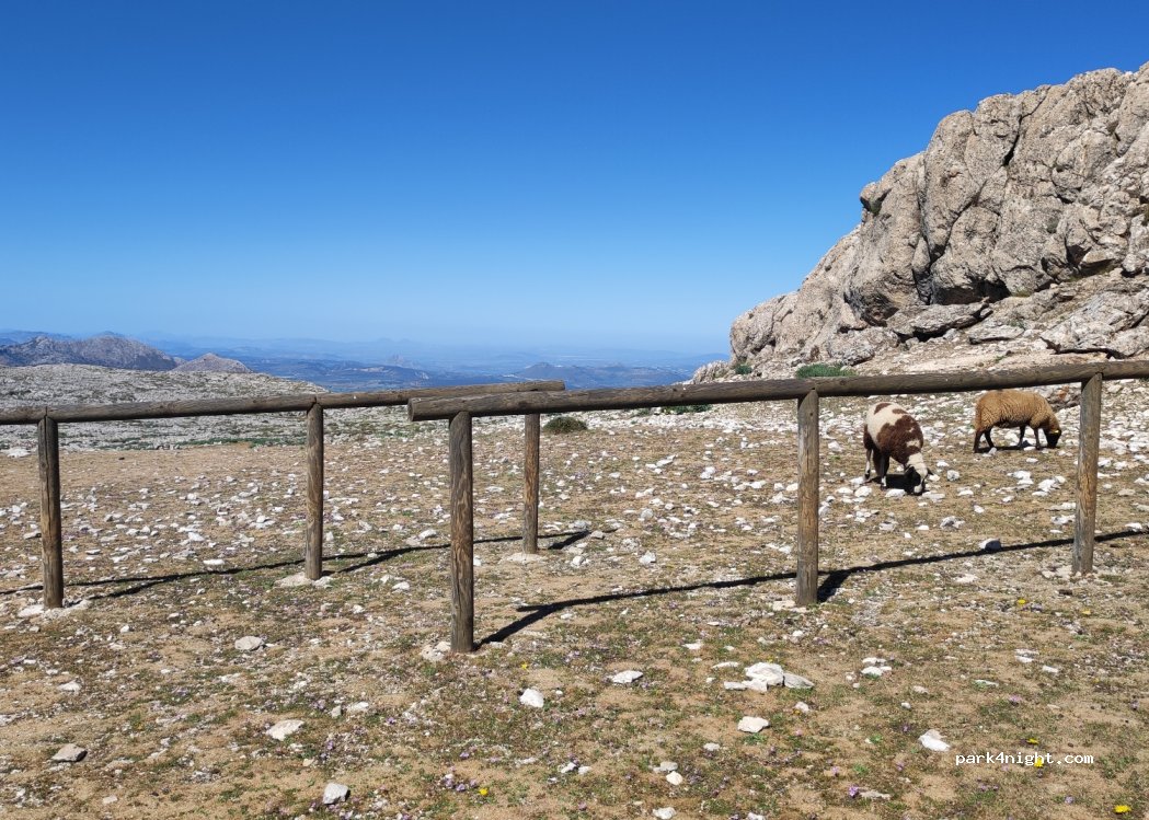 (18300) Venta del Rayo - Unnamed Road — foto 2