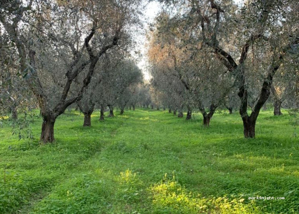 Agriturismo Biorussi — foto