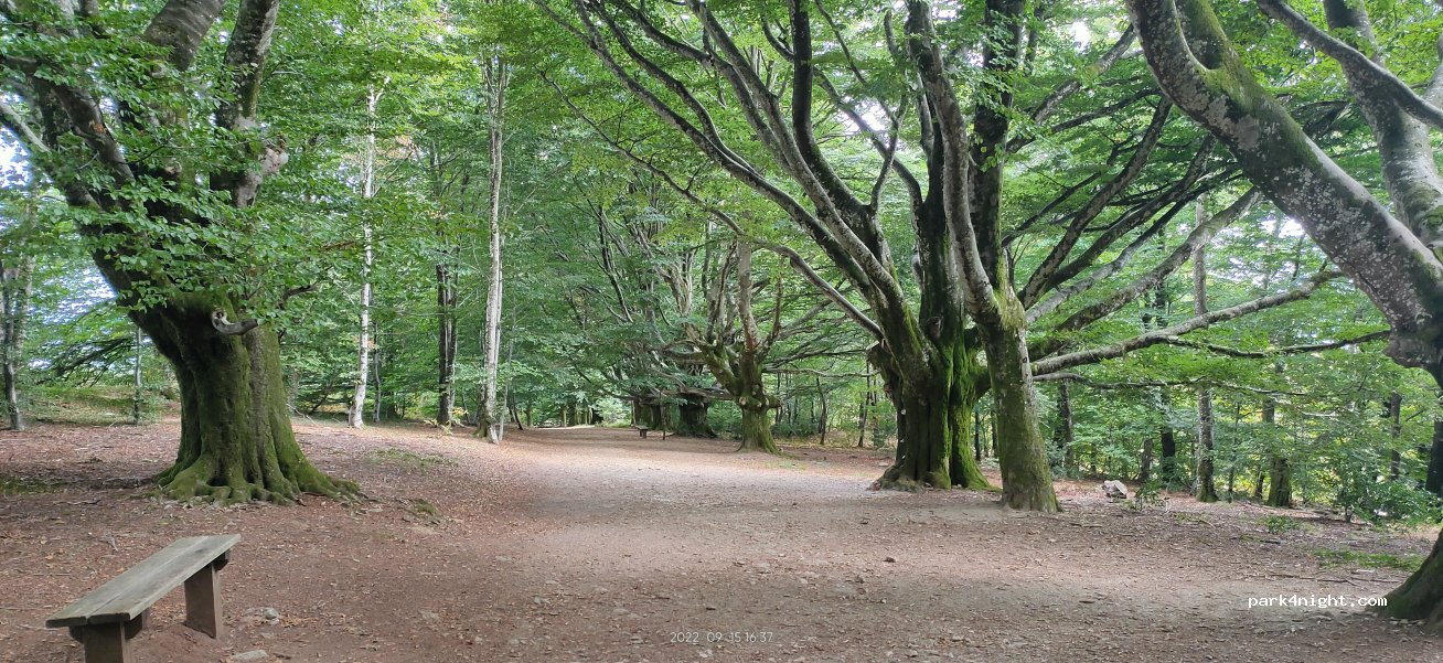 (87130) Saint-Gilles-les-Forêts - D39 — foto 3