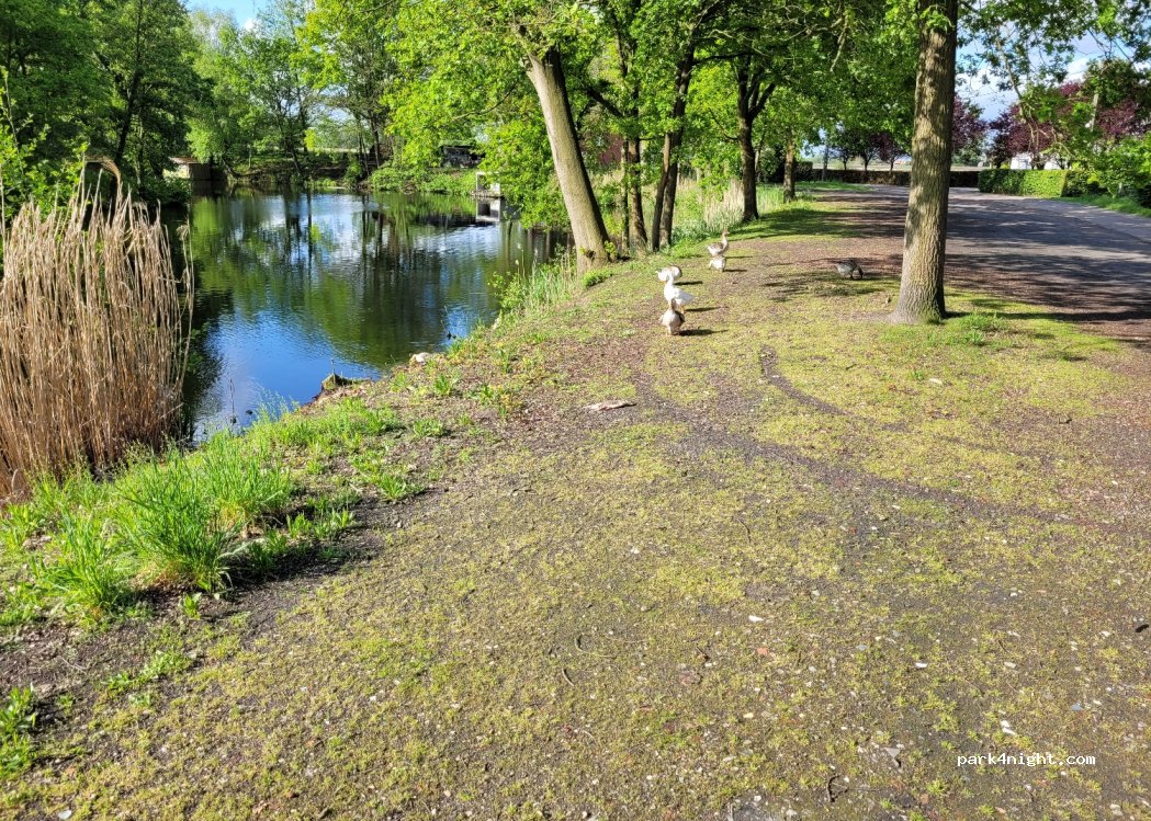 (2500) Lier - 12 Donderheide — foto