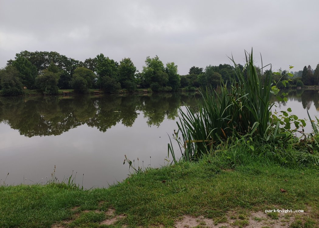 (56430) Mauron - 18 Rue de Brocéliande — foto 4