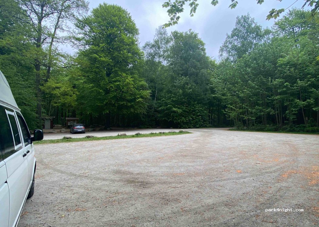 (233 92) Svedala - Torupsvägen — foto