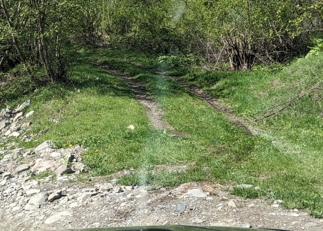 () Tsikhiani - — foto 2