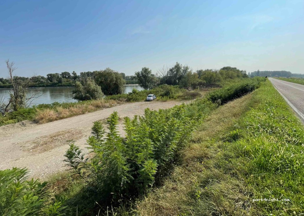 (43018) Sissa - 12 Frazione Torricella — foto 3