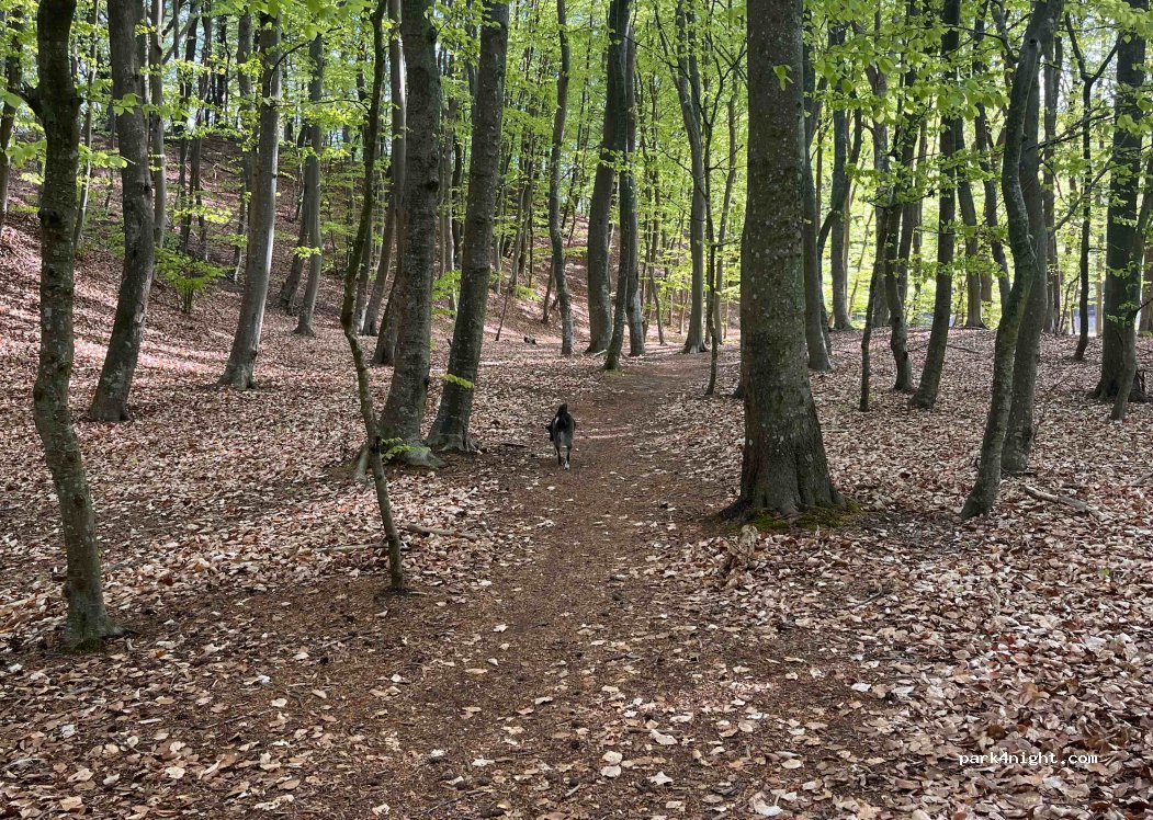 (76-270) Orzechowo - Unnamed Road — foto 5