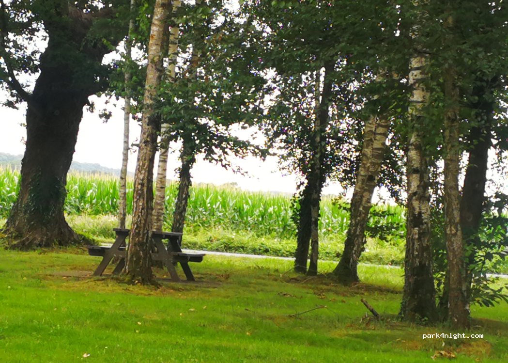 (64420) Andoins - 15 Route d'Artigueloutan — foto 2