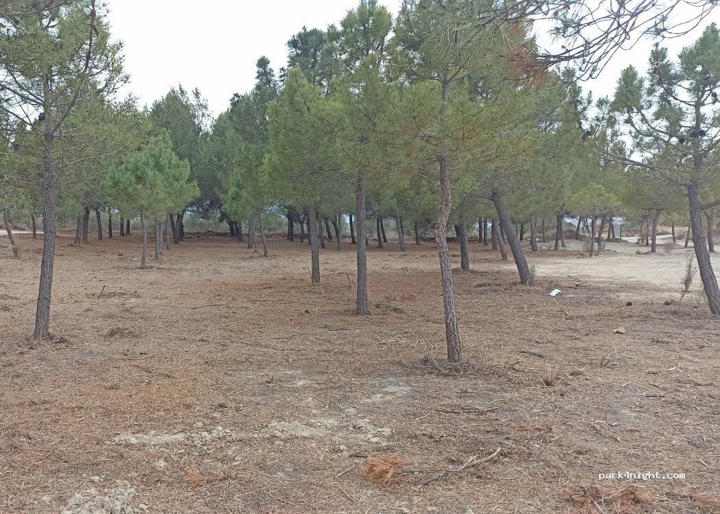 (46170) Villar del Arzobispo - — foto 3