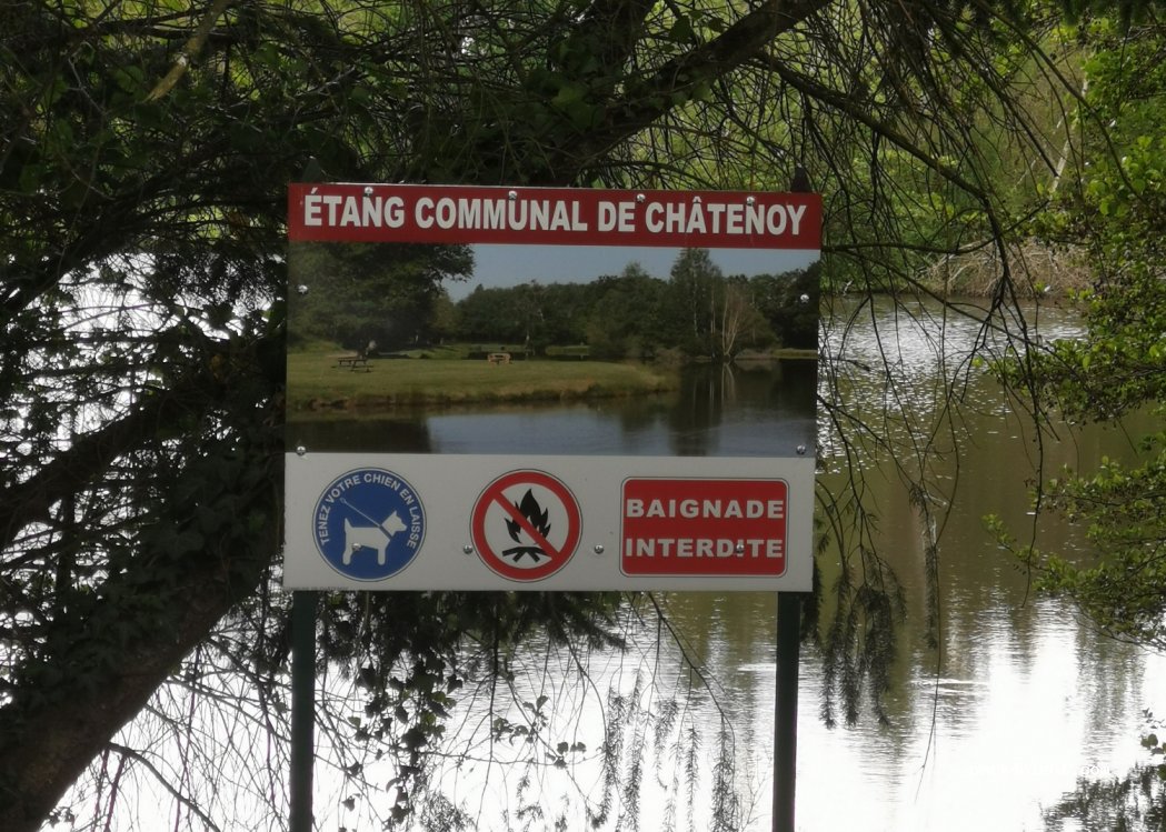 (45260) Châtenoy - 10 Chemin de l'Étang — foto 2