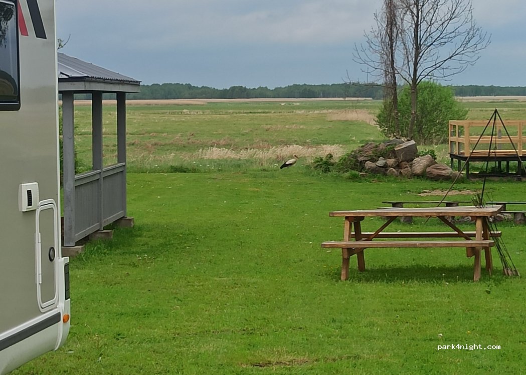 Wilcza Nora camping — foto 2