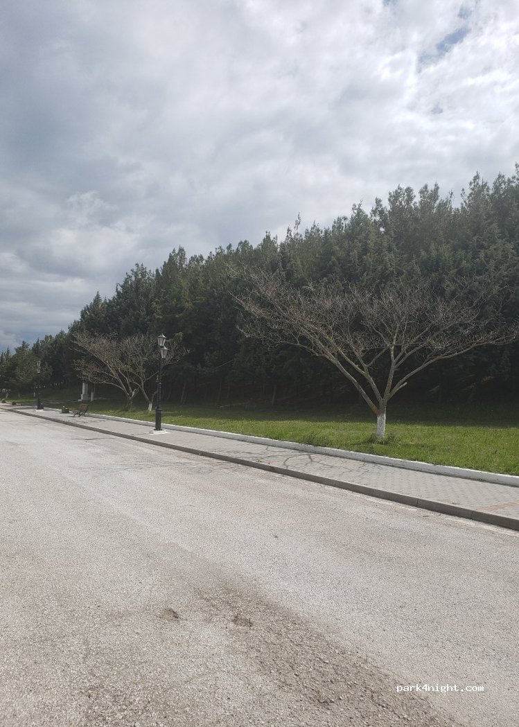 (501 00) Nea Charavgi - Unnamed Road — foto