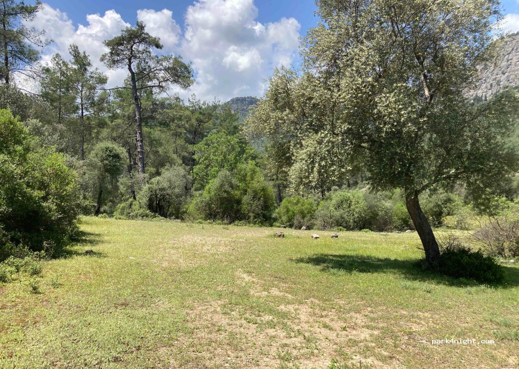 () Manavgat - — foto