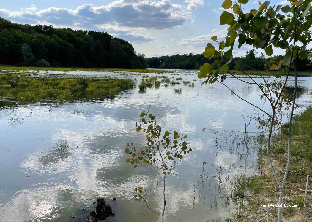 (47410) Sérignac-Péboudou - Unnamed Road — foto