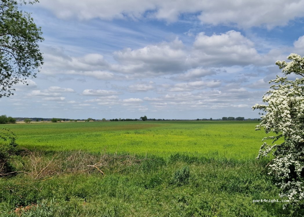 (39524) Wust-Fischbeck - Unnamed Road — foto 2