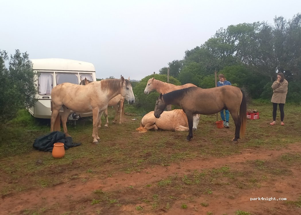 The State of Being - off-grid sanctuary and campground — foto