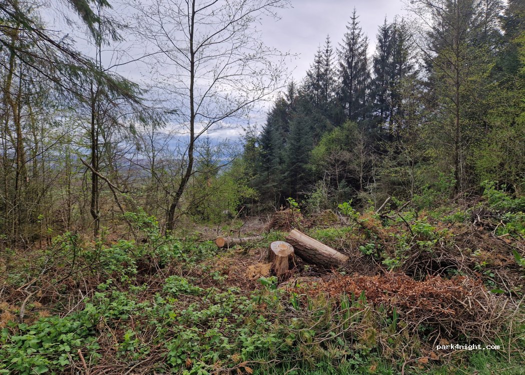 (G63 0EA)  - Garadbhan, West Highland Way — foto 5