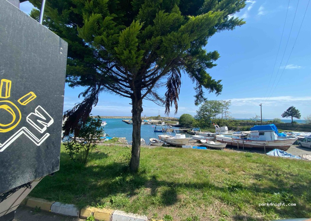 (37550) Doğanyurt - 11 Liman Sokak — foto